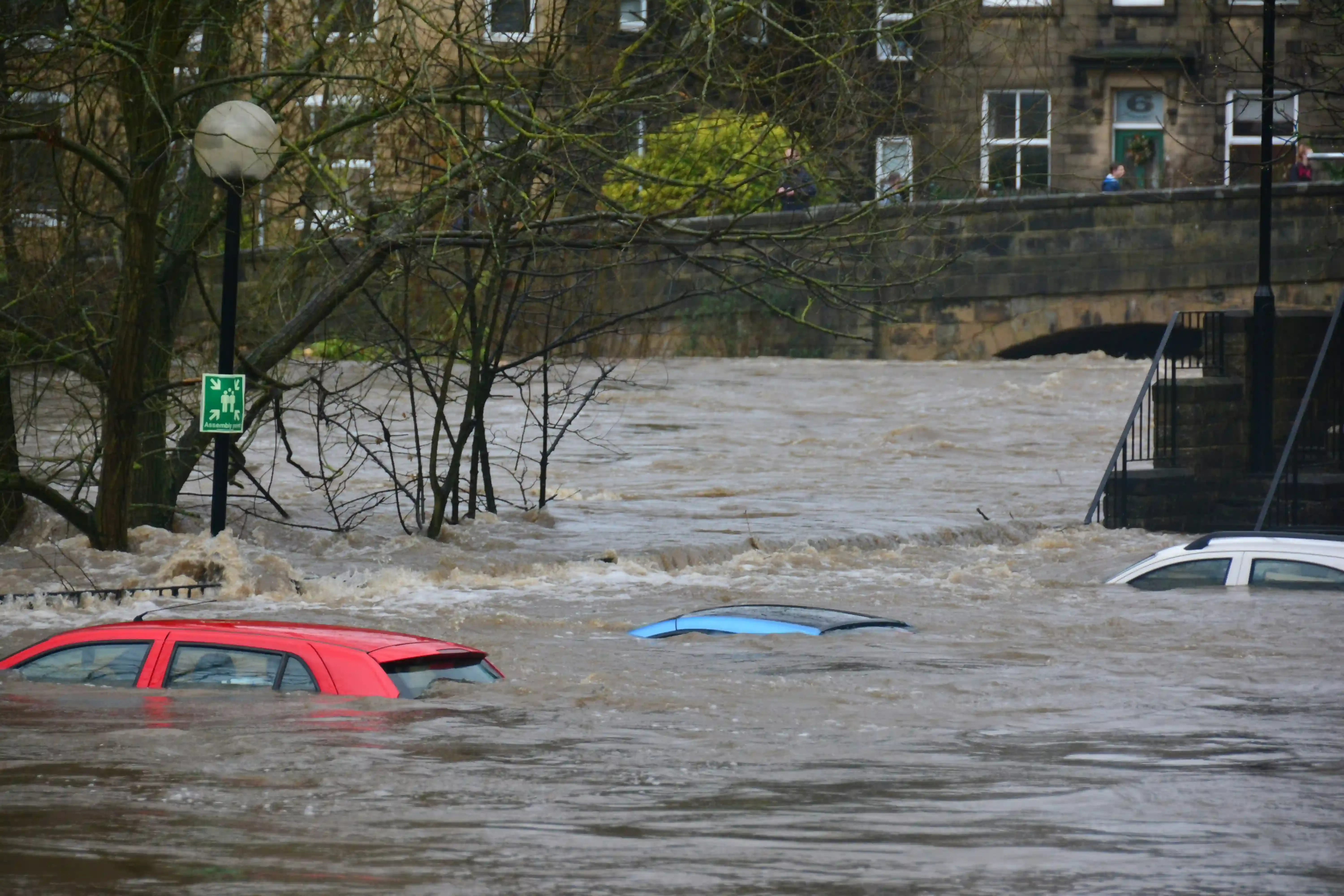 How to Identify Flood Damage in a Used Car: The 7-Step Inspection Protocol