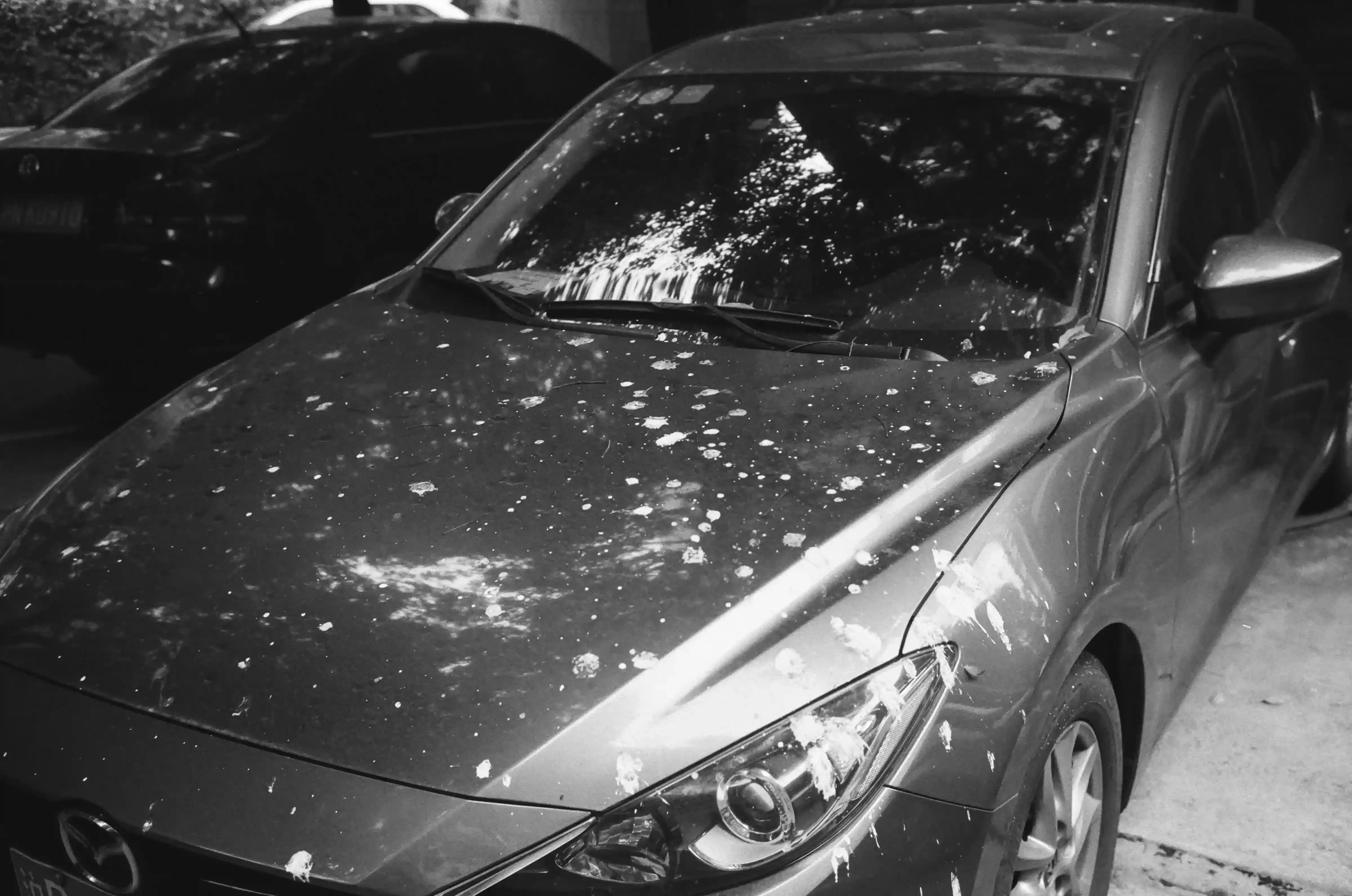 Buying a Car with Hail Damage: How to Spot It, Price It, and Decide